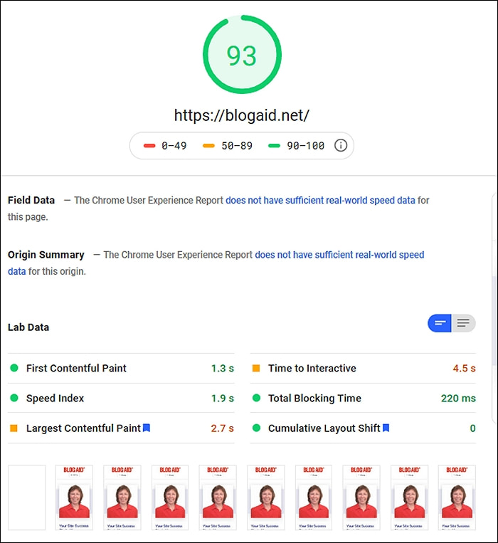 Online Speed Testers: How to Read the Metrics | BlogAid
