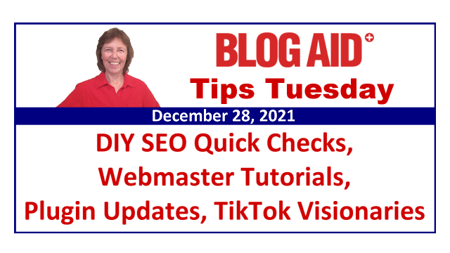 DIY SEO, Webmaster Tutorials, Plugin Updates, TikTok Visionaries